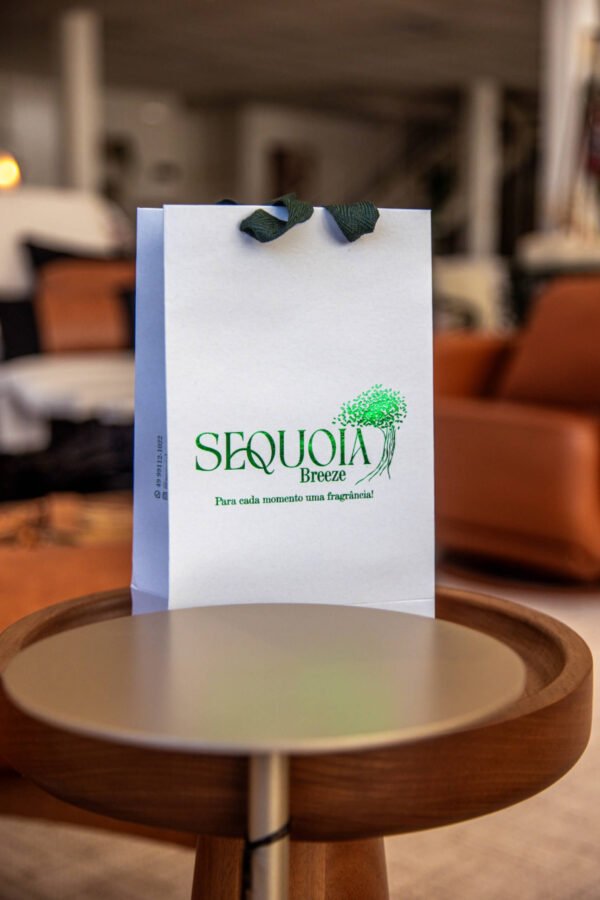 Sacola de Papel para Presente